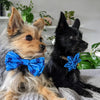Huxley & Kent Bow Tie Octopus Garden Blue Pinwheel Pet Collar Attachment - 2 Sizes