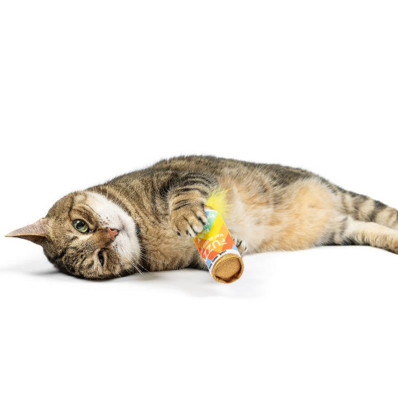 Huxley & Kent Cat Toys Fuzzy Soft Seltzer Rainbow Pride Cat Toy