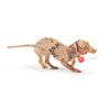 Huxley & Kent Huxley & Kent - Tiny Tuff Santa's Milk: One Size