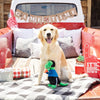 Petshop by Fringe Studio dog toys Hustle, Hit, Never Quit Football Player Rex Plush Squeak Dog Toy