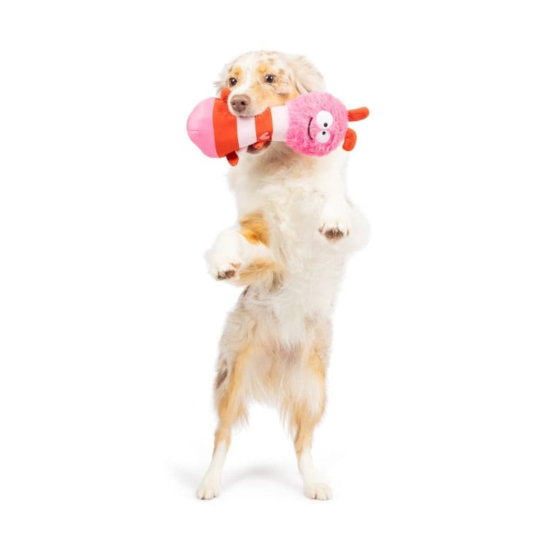 Huxley & Kent dog toys Fetchies Love Bug Plush Dog Toy