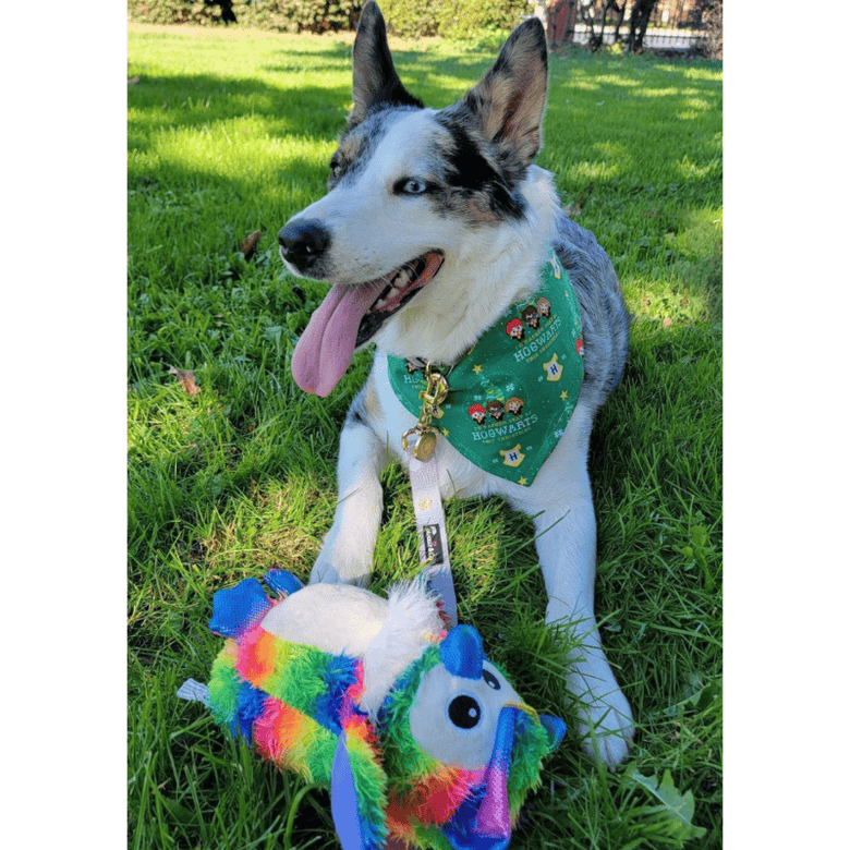 SnugArooz dog toys Hootie the Owl Rainbow Plush Dog Toy - 8"