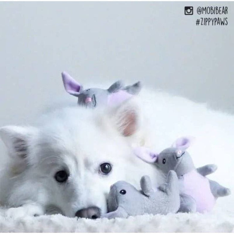 ZippyPaws dog toys Grey Bunnies Miniz Plush Squeaky Dog Toy Set - 3 Pk