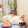 Hugsmart Products Inc dog toys Space Paws Purple Orange Flip the UFO Plush Dog Toy