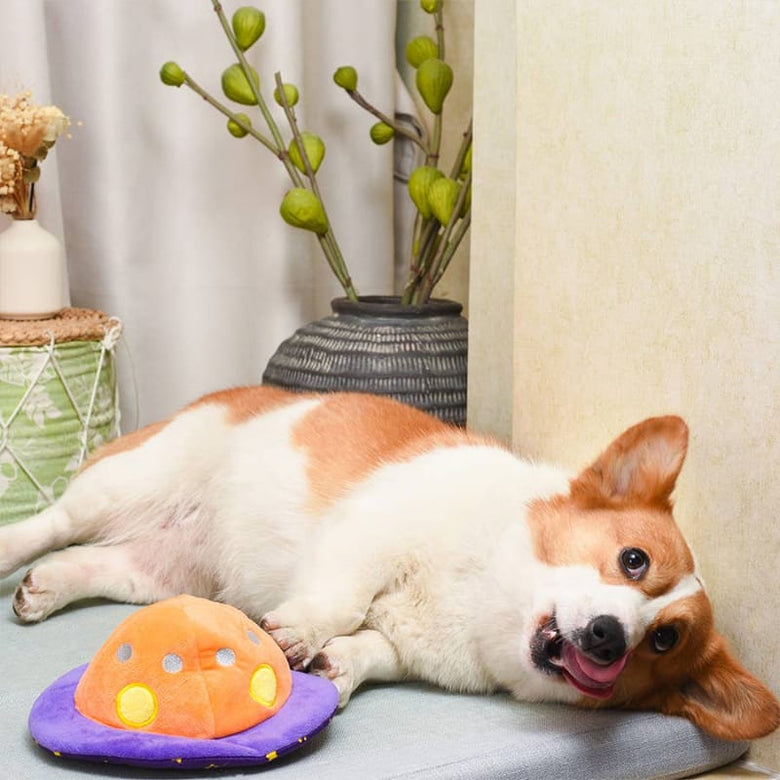 Hugsmart Products Inc dog toys Space Paws Purple Orange Flip the UFO Plush Dog Toy