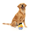 FuzzYard dog toys Timotheé Chalaquack Yellow Duck Plush Squeak Dog Toy
