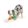 Huxley & Kent Huxley & Kent - Seek 'n Treat Prickly Pawt Dog Toy: Small