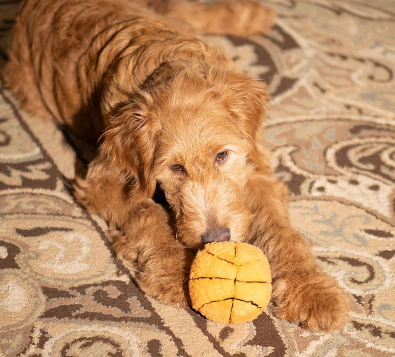 Thoozy dog toys Basketball Plush Squeak Dog Toy 4"