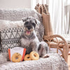 Hugsmart Products Inc dog toys Party Onion King Interactive Plush Pet Toy Set - 4 Pc