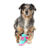 FuzzYard dog toys Fresh Kicks N' Licks Teal and Pink Chew Dog Toy
