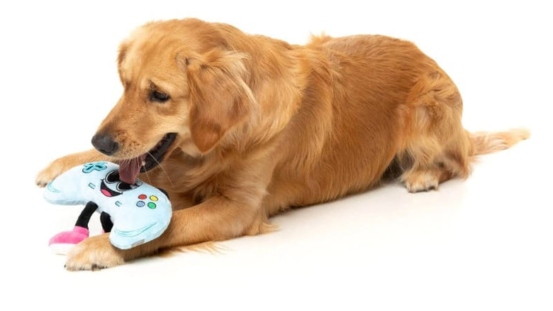 FuzzYard dog toys Gamezy Fun Controller Plush Squeak Dog Toy