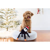 ZippyPaws ZippyPaws - Holiday Crinkle - Penguin - Small - Dog Toy