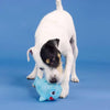 PetShop by Fringe Studio dog toys Out of the Blue Rubber & Plush Shark Dog Toy