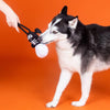PetShop by Fringe Studio dog toys Halloween Got A Bone To Pick Skeleton Rope Tug Plush Squeak Dog Toy