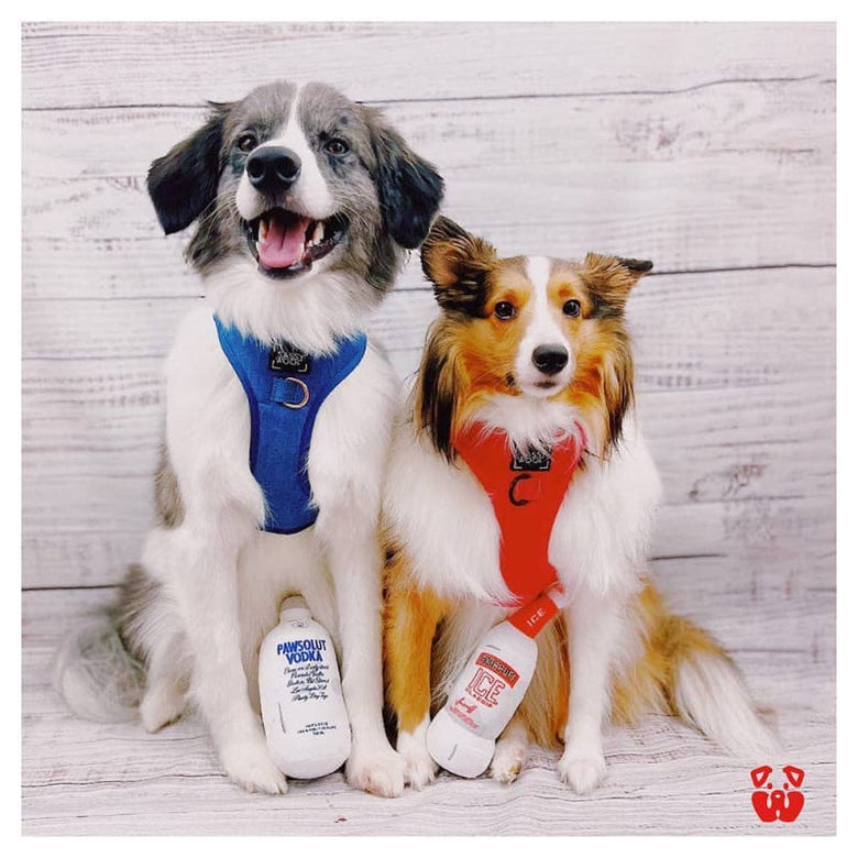 PAWTY Dog Toys dog toys Pawty Smirruff Ice Bottle Plush Squeaky Dog Toy