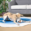 Hugsmart Products Inc dog toys Coffee Hour StarPaws Coffee Rubber Dog Toy