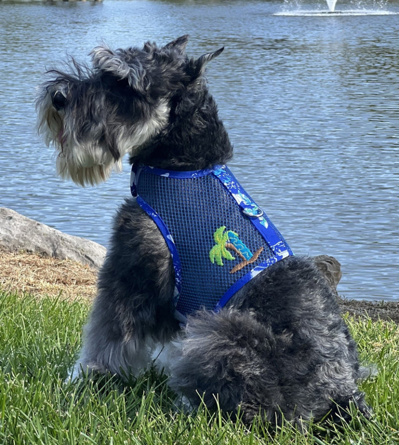 Cool Mesh Dog Harness with Leash - Hawaiian Ocean Blue & Palms