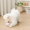 Hugsmart Products Inc dog toys Hoppin' Easter Good Egg Super Ball Plush Dog Toy
