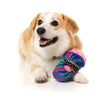 FuzzYard dog toys Halloween Zombrain Freeze Slushie Plush Squeak Dog Toy