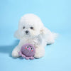 Hugsmart Products Inc dog toys Ocean Pals Octopus Ball Dog Toy