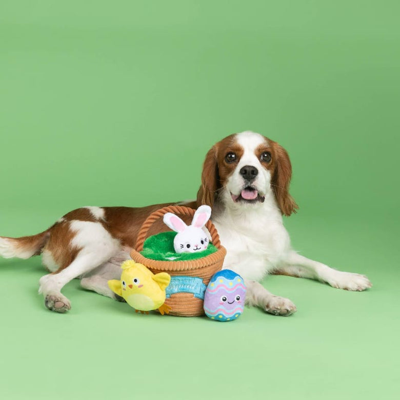 Petshop by Fringe Studio dog toys Easter Egg Hunt Squad Hide N Seek Interactive Plush Dog Toy Set - 4 Pc