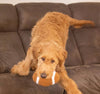 Thoozy dog toys Football Shaggy Plush Squeak Dog Toy - 6.5"
