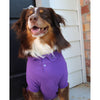 Doggie Design Tee's Ultra Violet Solid Collared Dog Polo Shirt