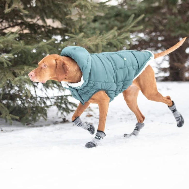 GF Pet Jackets XXS Super Puff Teal Dog Parka