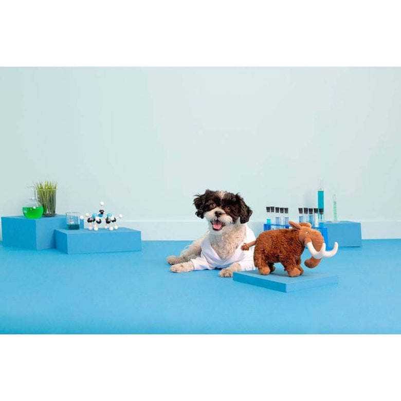 BARK dog toys Winston The Wooly Mammouth Plush Dog Toy