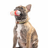 Huxley & Kent Huxley & Kent - Tiny Tuff Latte My Way: One Size