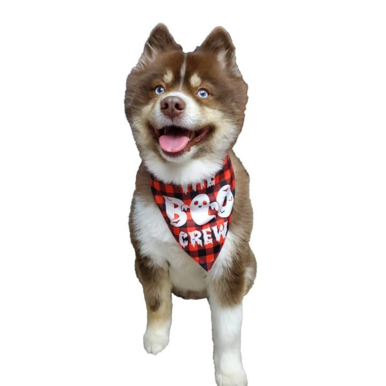 Barker's Bowtique Bandanas S Halloween Boo Orange Reversible Pet Bandana
