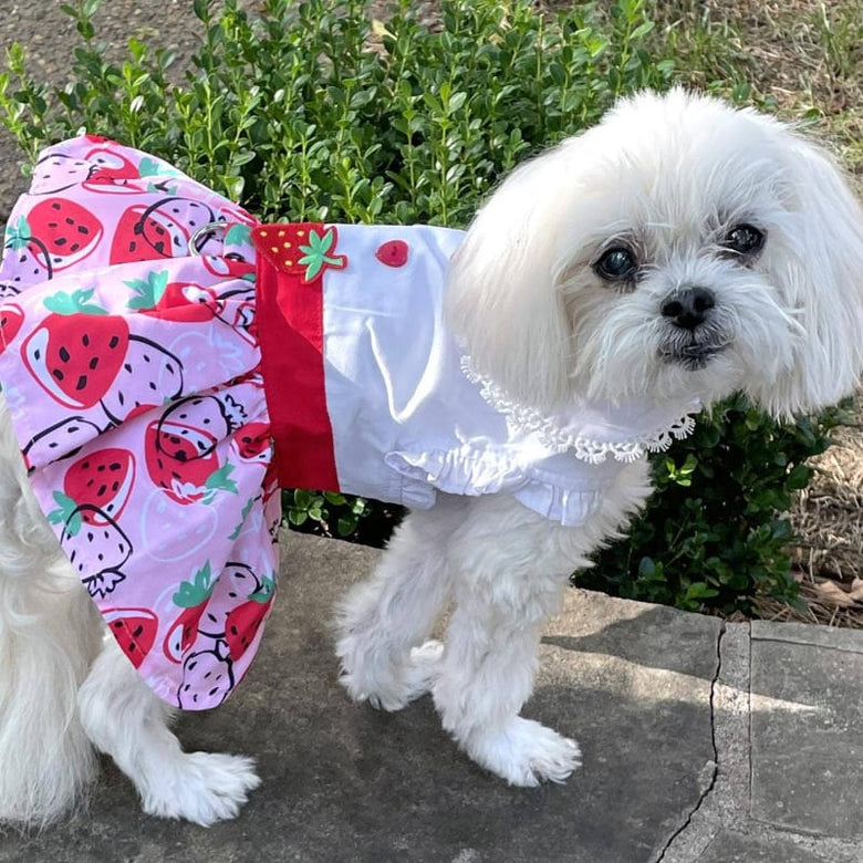 Doggie Design Dog Apparel Strawberry Picnic Dog Harness Dress with Matching Leash