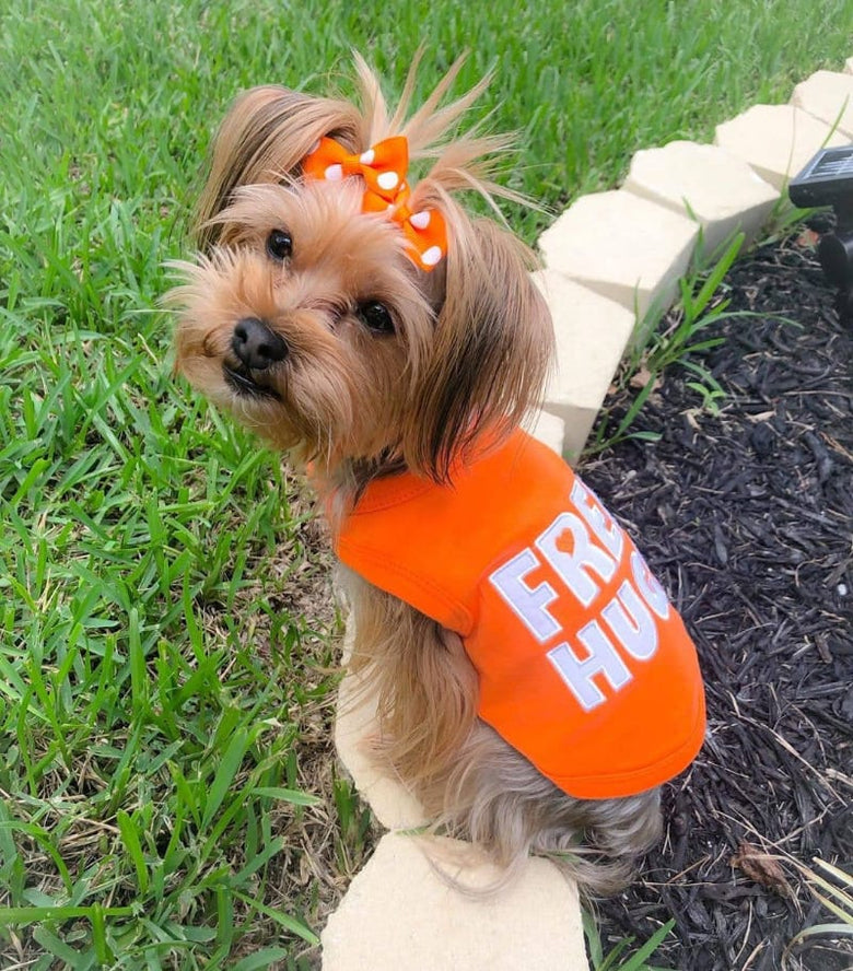 Parisian Pet® Tee's Free Hugs Orange Dog T-Shirt
