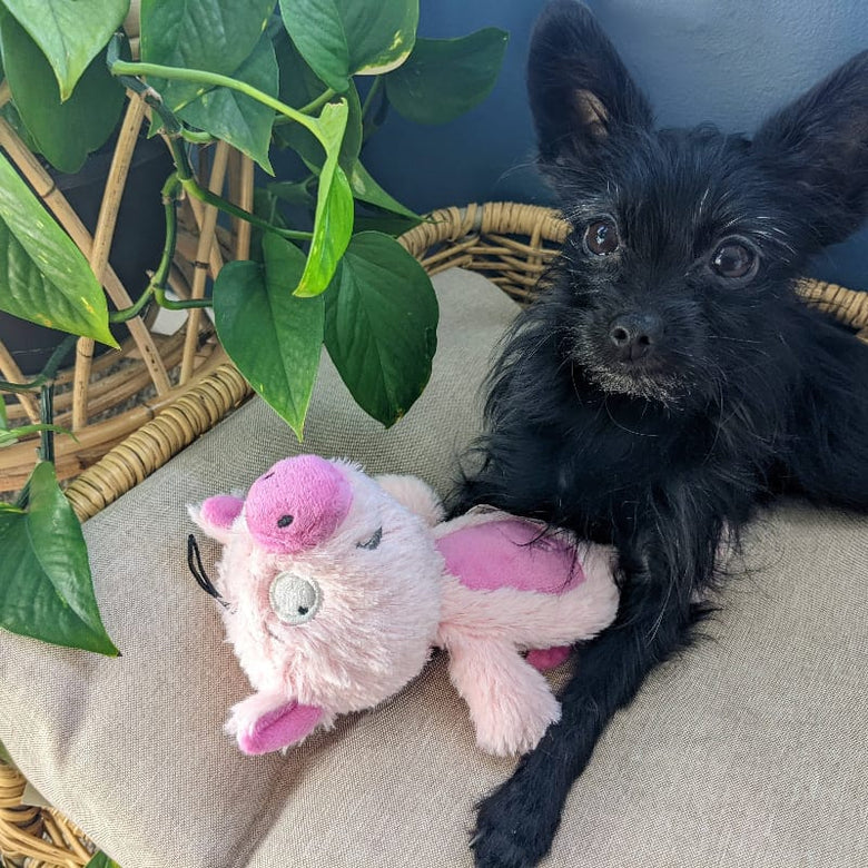 Huxley & Kent Dog Toys Slappies Piggie Smalls Pink Plush Squeak Dog Toy