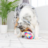Huxley & Kent dog toys I'm Sweet Lollipop Plush Squeak Dog Toy - 2 Sizes