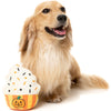 Happy Pumpkin Cupcake Fall Season Halloween Plush Squeaky Dog Toy