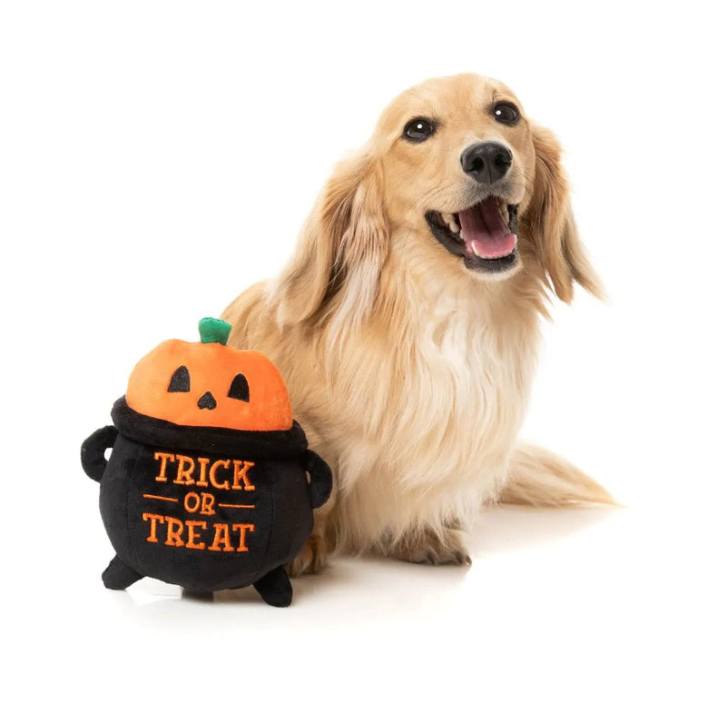 Halloween Trick Or Treat Pumpkin Cauldron Plush Squeaky Dog Toy