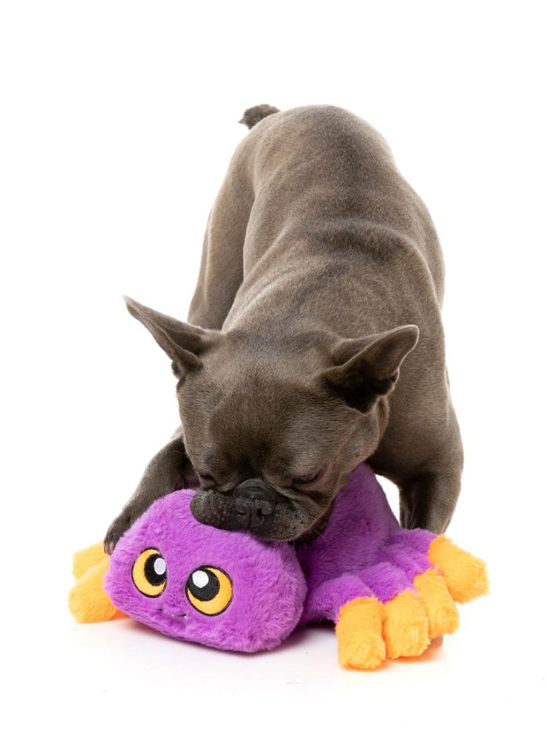 Halloween Weborah The Spider Purple/Orange Plush Squeak Dog Toy
