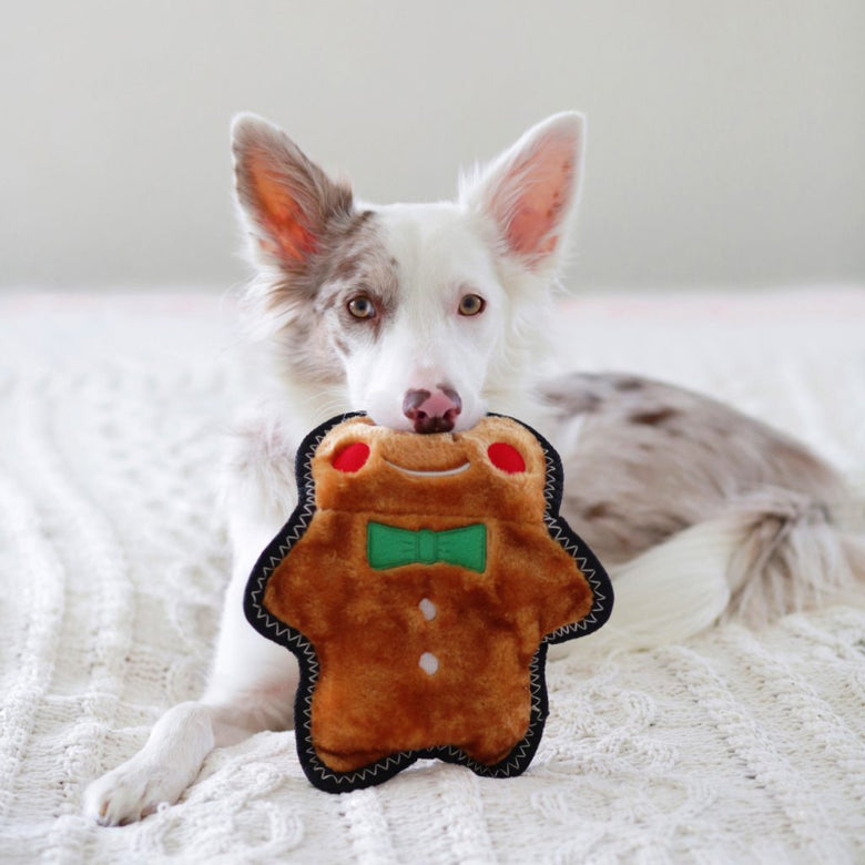 Holiday Z-Stitch Christmas Gingerbread Man Plush Squeaky Durable Dog Toy