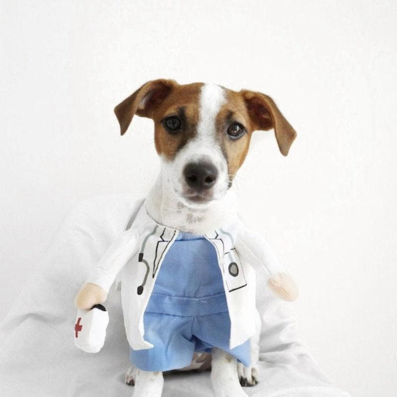 AE-FLS dog apparel "Here Comes the Doctor" Dog Costume