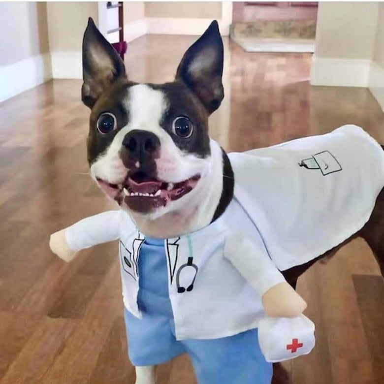 AE-FLS dog apparel "Here Comes the Doctor" Dog Costume