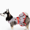 Doggie Design, Inc. Dresses Holiday Holly Dog Harness Dress with Matching Leash