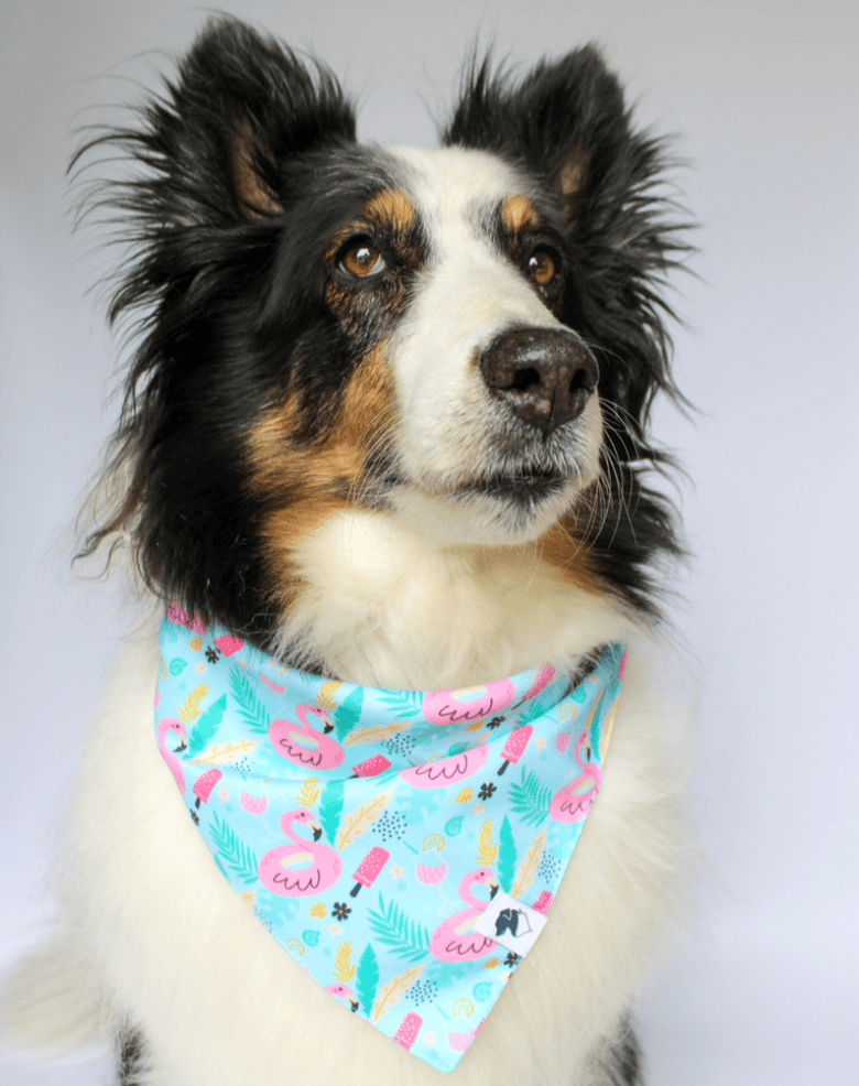 Dog Bandana Co. Summer Beach Dog Bandana