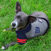NY Giants Hoody Dog Tee