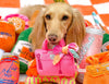 Barkin Bag Pink w/ Scarf Plush Squeaky Dog Toy