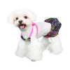 Pooch Outfitters Swimwear XXS Santorini Pet Bikini - 2 Piece