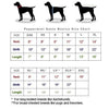 Pooch Outfitters Collars L/XL Mason Shirt Tie Pet Collar