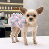 DogoPet.com Light Dress Puzzle Fun Dress