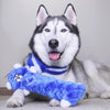 Jigglerz Hanukkah Blue Bear Plush Squeaky Holiday Dog Toy