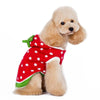 Dogo Pet Sweaters 2XL Strawberry Dog Sweater - Only Available in Size 2XL